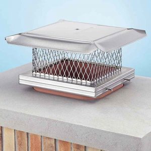 stainless-steelcap-resized stainless-steelcap-resized